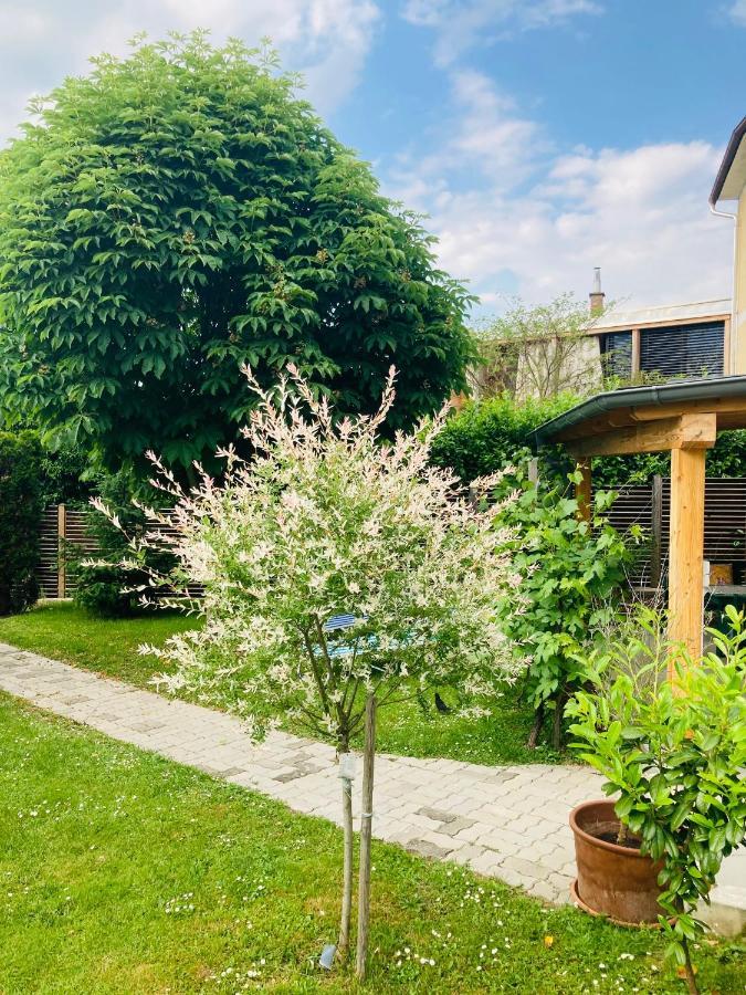 Ferienhaus-zurueck Zum Ursprung Holiday home Gussing